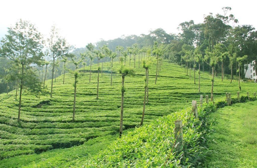 T Cherry Villa Munnar Eksteriør bilde