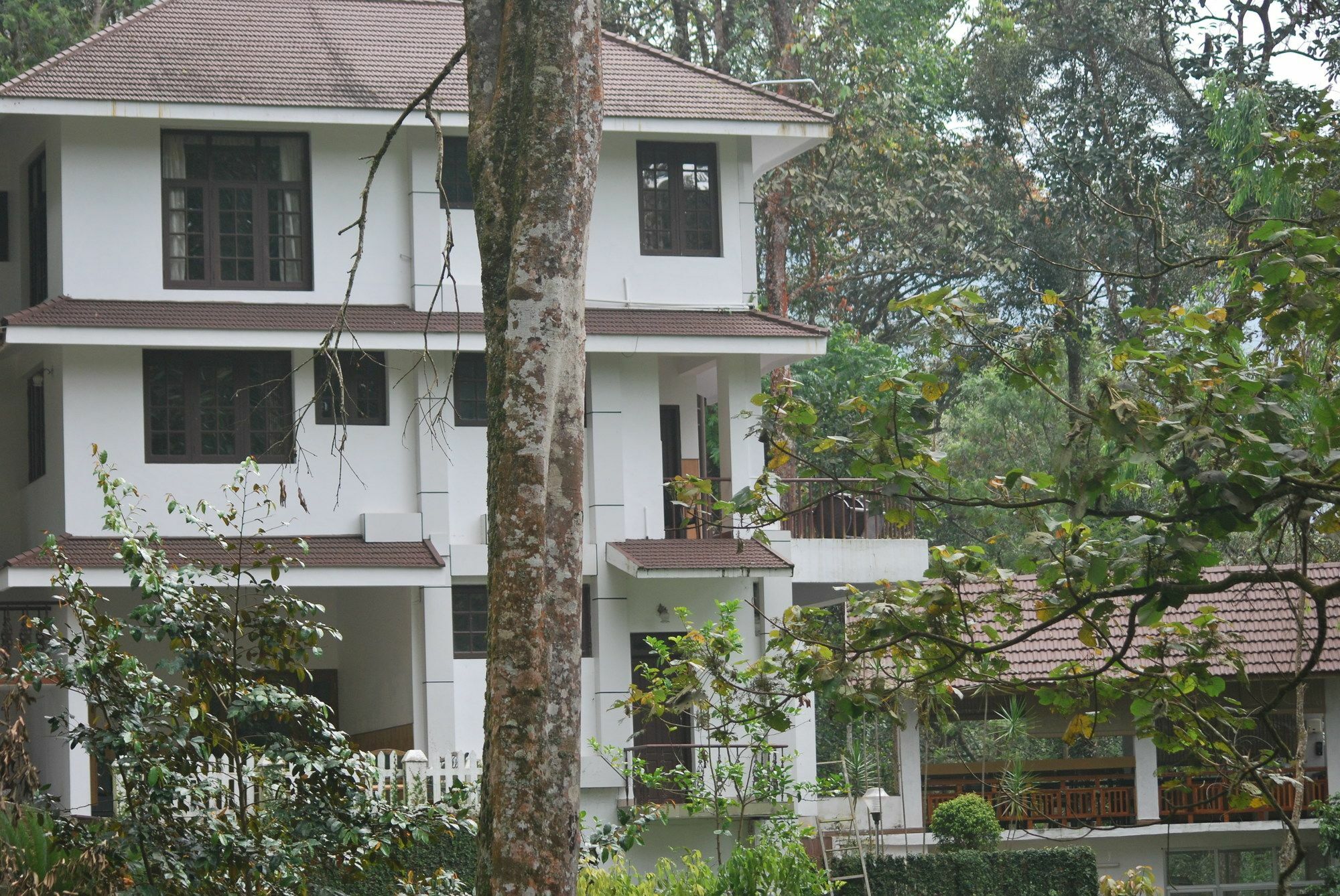 T Cherry Villa Munnar Eksteriør bilde